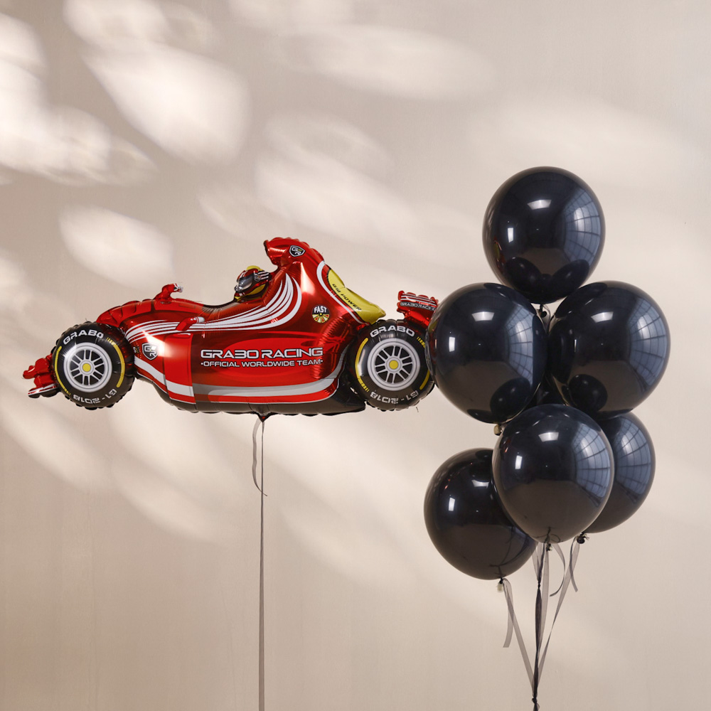 FAST RACER